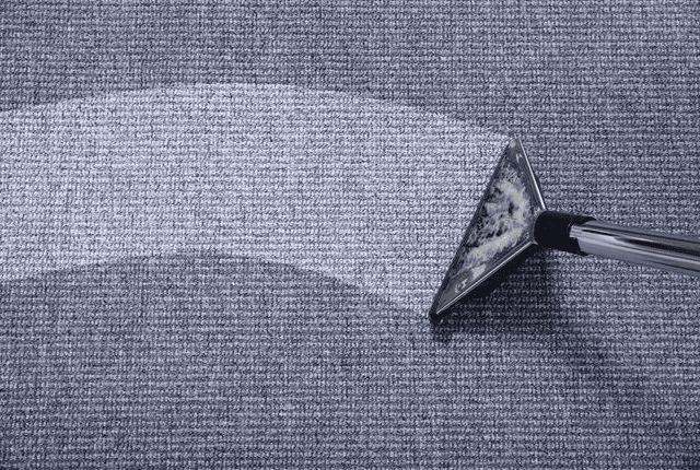 ניקוי שטיחים קבועים יסודי