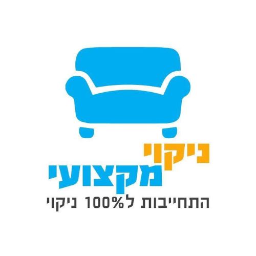 ניקוי מקצועי | לוגו